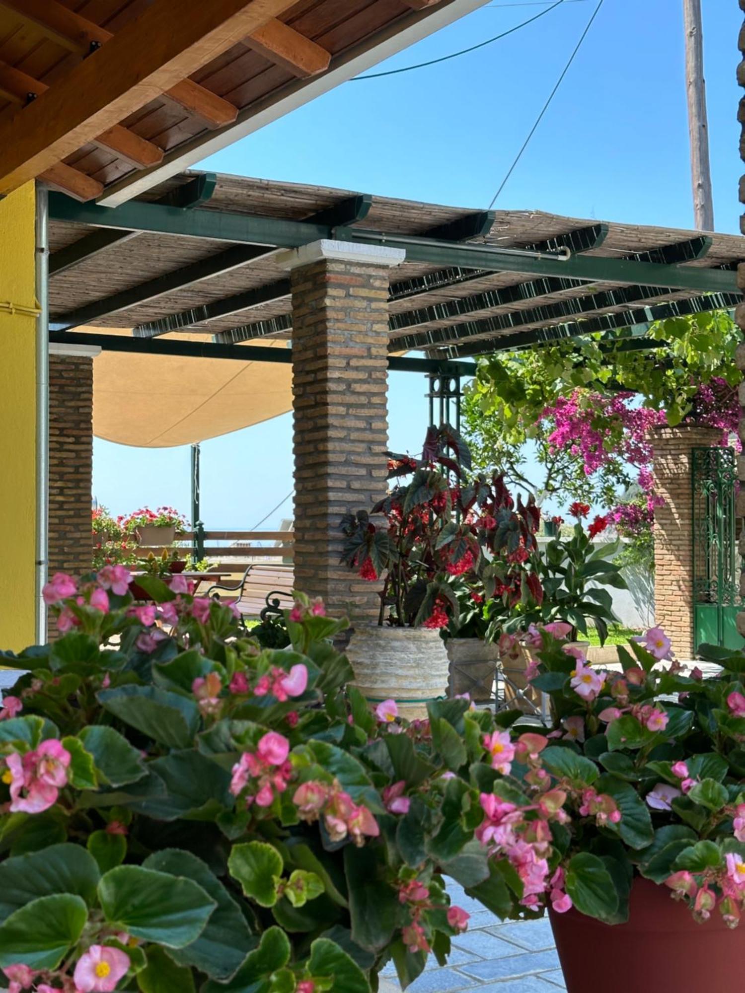 Villa Sofia 帕尔加 外观 照片
